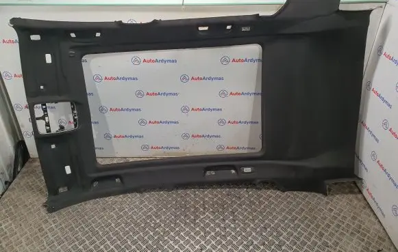 BMW X3 G01 Headlining 8092723 51448092723