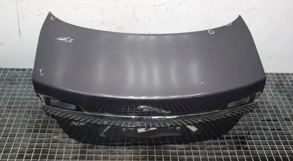Jaguar XF X250 Tailgate/trunk/boot lid LMN