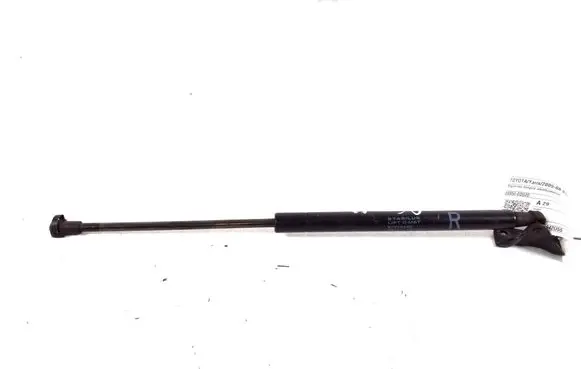 Tailgate strut
