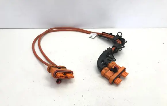 Cupra Born Wiring harness 1EA971015T