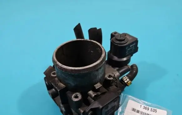 Throttle body valve