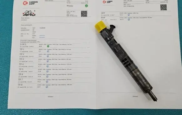 Renault Kangoo I Fuel injector EJBR05102D IMPRK1329426