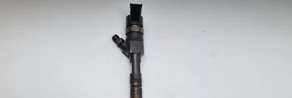 Renault Scenic II - Grand scenic II Fuel injector 0445110280