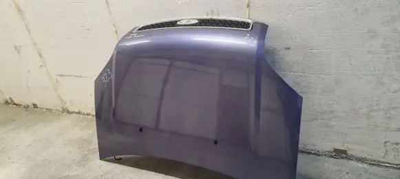 Engine bonnet/hood