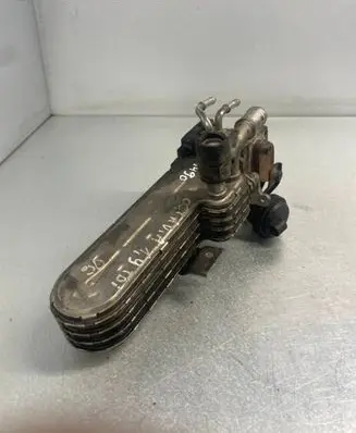 Skoda Octavia Mk2 (1Z) EGR valve cooler 120127304