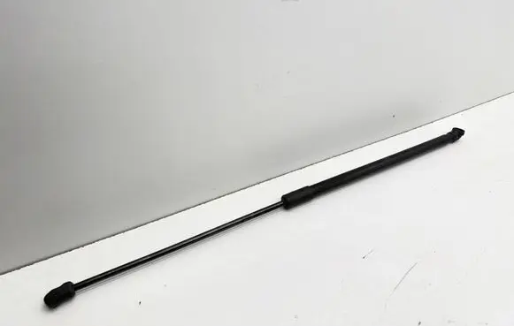 Tailgate/trunk strut/damper