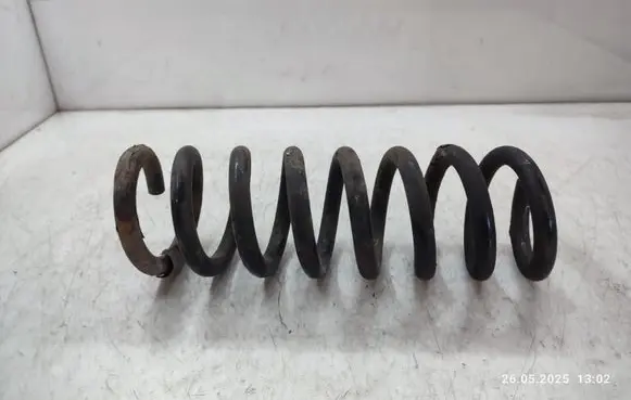 Rear coil spring