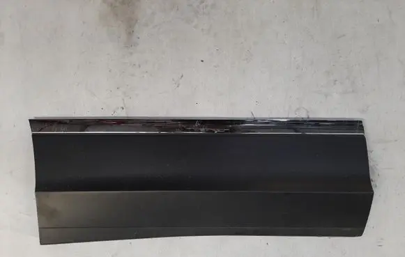 Rear door trim (molding)
