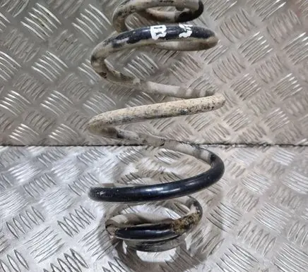 Volkswagen PASSAT B5 Rear coil spring