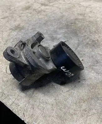 Citroen C4 Cactus Generator/alternator belt tensioner