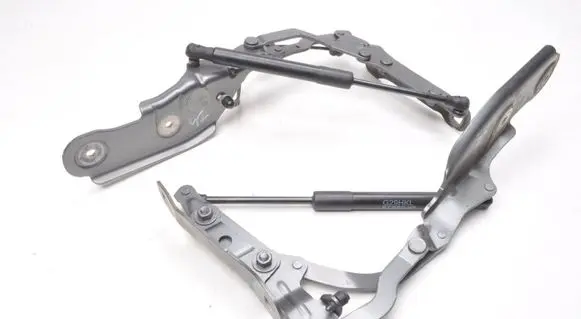 BMW Z4 g29 Tailgate hinge 7437674