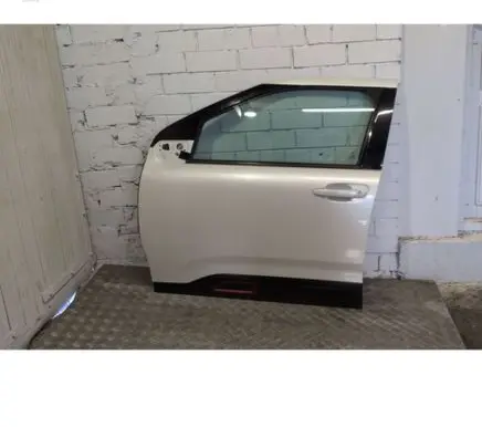 Citroen C4 Cactus Front door 9801003980