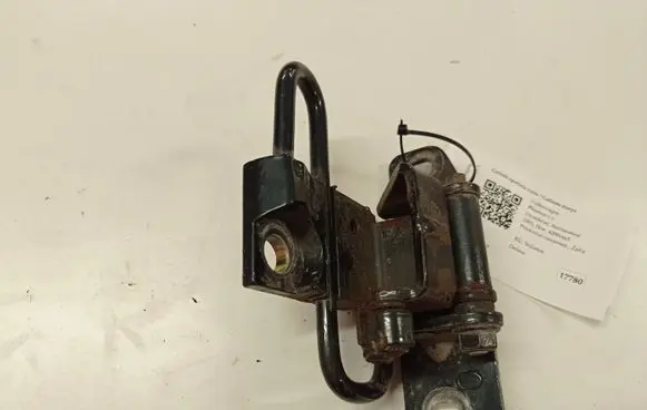 Volkswagen Phaeton Rear door lower hinge