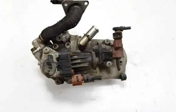 Fiat Doblo EGR valve 701599040 10T088