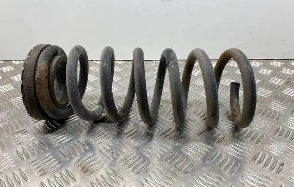 Ford Fusion II Rear coil spring DG9C5560 DG9C5560ANB