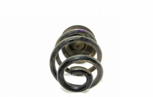 BMW 3 E46 Rear coil spring