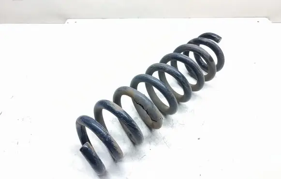 Rear coil spring