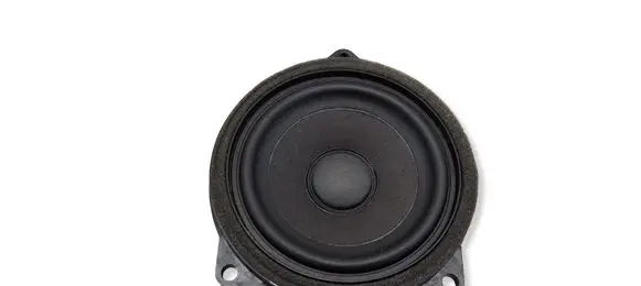 BMW 2 F44 Front door speaker 2622803