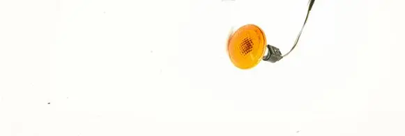 Land Rover Range Rover L322 Front fender indicator light