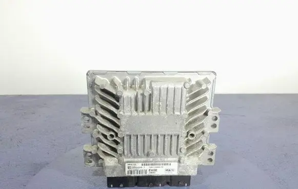 Engine control unit/module ECU