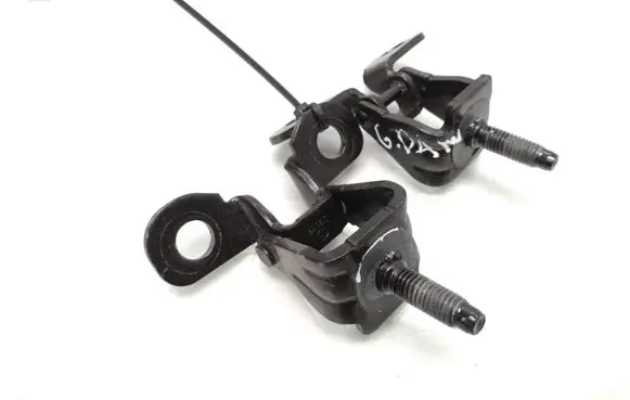 Ford Mustang Mach-E Loading door hinge set I120136