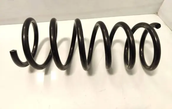 Rear coil spring