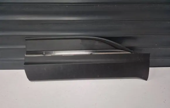 Renault Koleos II Rear door trim (molding) 808218403R