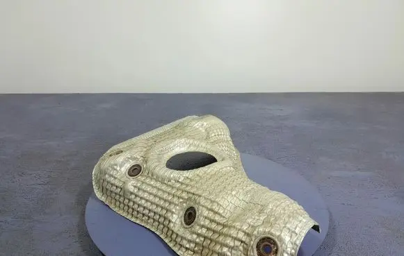 Exhaust heat shield