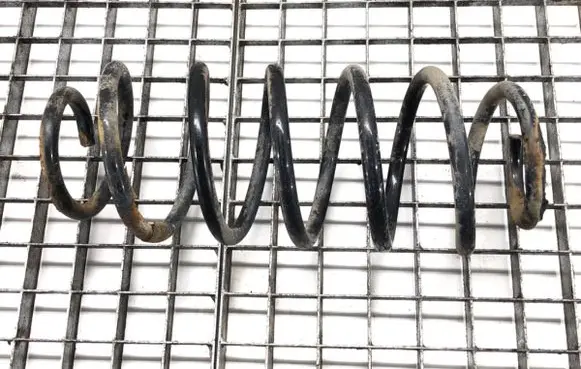 Rear coil spring