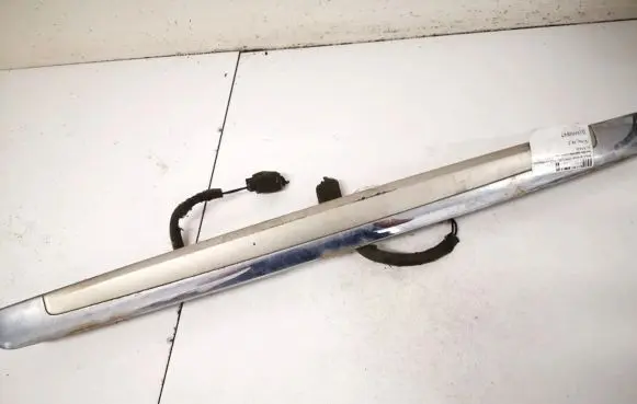 Trunk door license plate light bar
