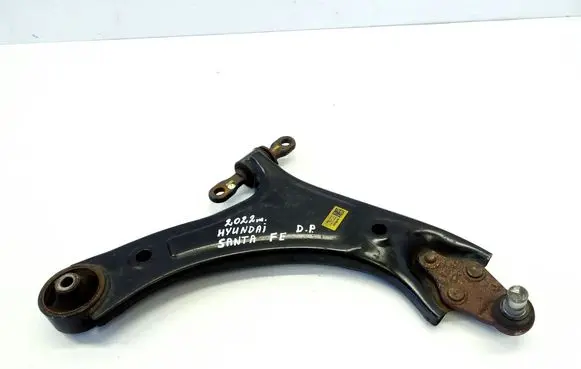 Hyundai Santa Fe Front lower control arm/wishbone 54501S1AA0