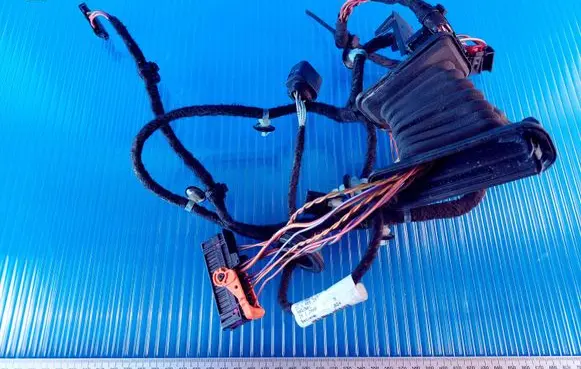 Volkswagen PASSAT B7 Front door wiring loom 3C2971121