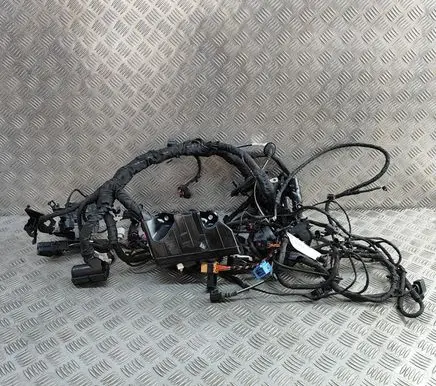 Skoda Kodiaq II Other wiring loom TAB019425A 5TA927903E
