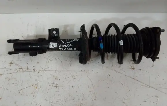 Hyundai Tucson TL Front shock absorber with coil spring