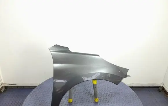 Peugeot 207 CC Fender