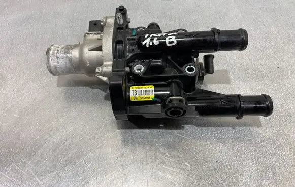 Thermostat/thermostat housing