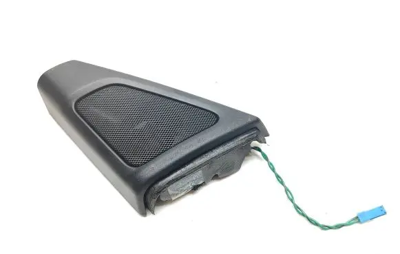 Front door high frequency speaker