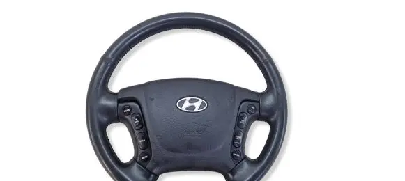 Hyundai Santa Fe Steering wheel 561002B000
