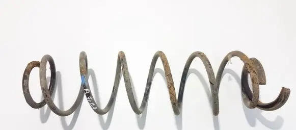 Rear coil spring