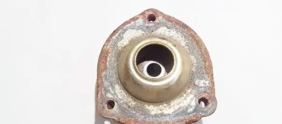 Coil spring mount