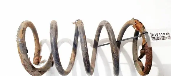 Rear coil spring