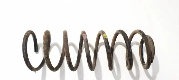 Rear coil spring