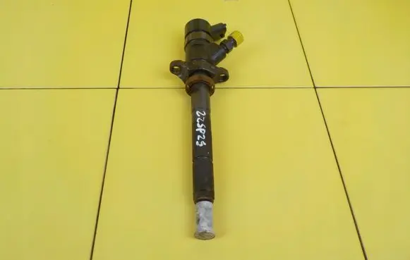 Volvo C30 Fuel injector 0445110259 22SP29