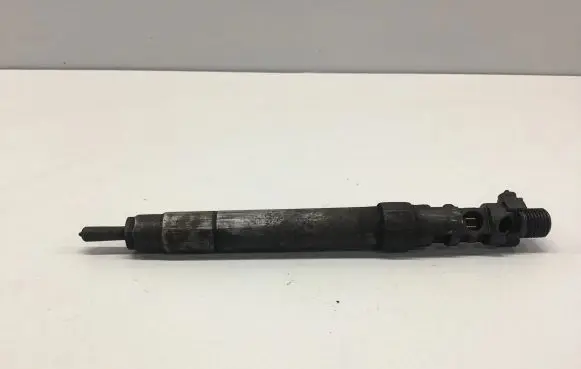 Ford Galaxy Fuel injector 9686191080