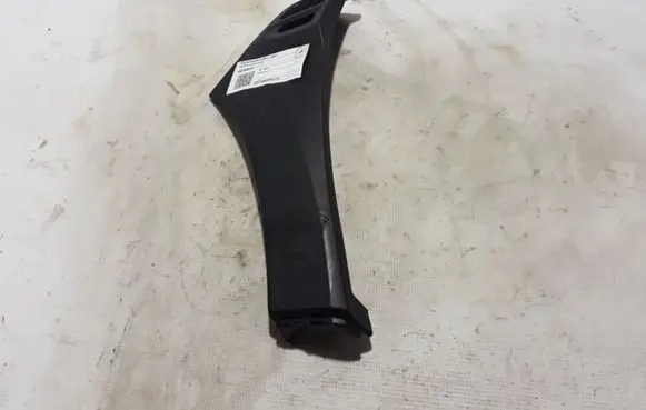 Fender trim (molding)