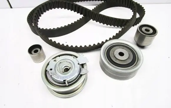 Seat Altea XL Timing chain (engine) 03L109243C