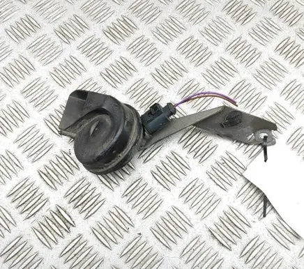 Horn signal