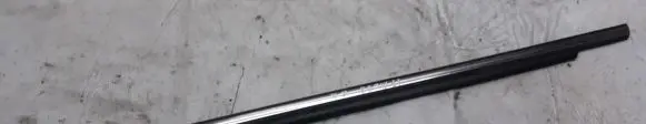 Rear door glass trim molding