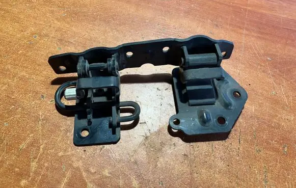 Smart Roadster Front door hinges set 0009733V005