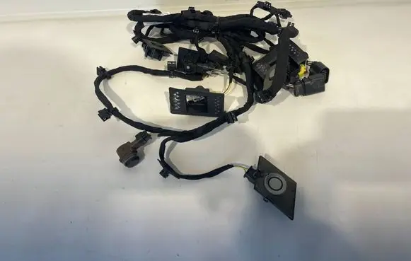 Volkswagen Touareg III Parking sensor (PDC) wiring loom 760971095EM